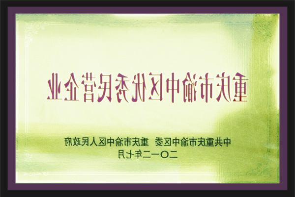 重庆市渝中区优秀民营企业